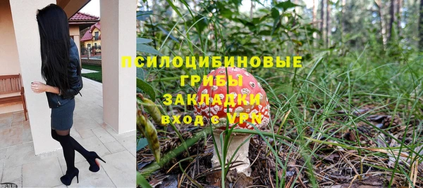 спиды Липки